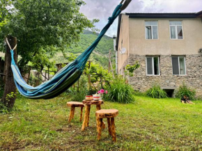 Barbara's Eco-Cozy GuestHouse